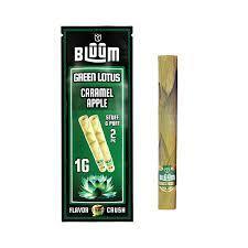 BLUUM - Cones - 2 Pack