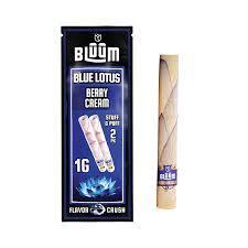 BLUUM - Cones - 2 Pack